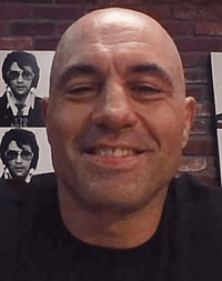 Portrait of Joe Rogan